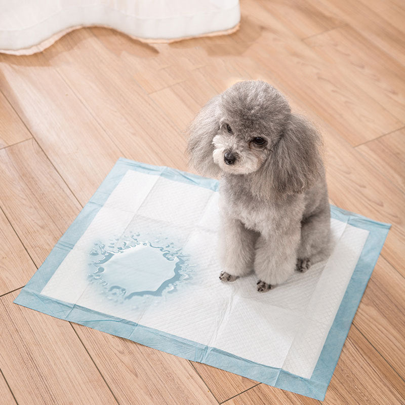 Dog Puppy Training Pad Heavy Duty